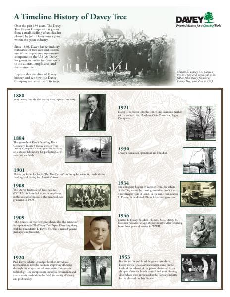 Davey%20HistoryTimeline%20-%20English%20Version