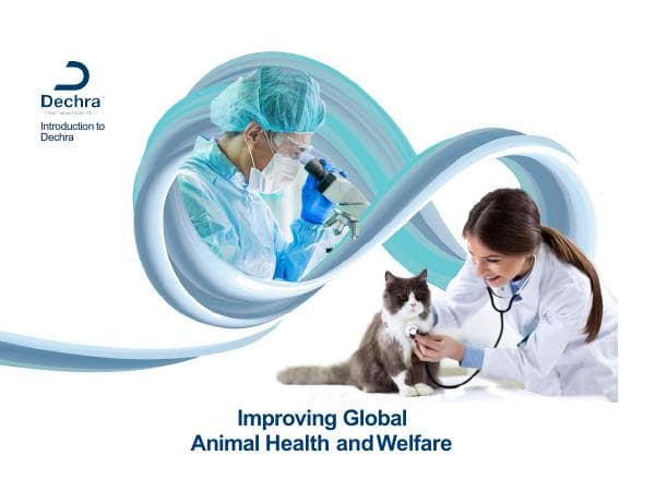 Dechra-Generic-Presentation-November2020