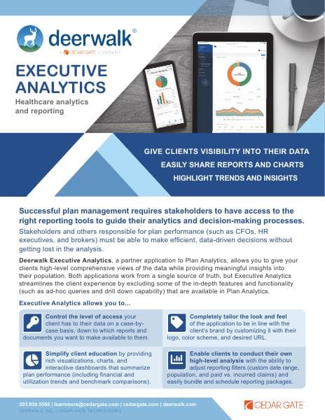 Deerwalk-Executive-Analytics