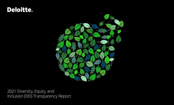 dei-transparency-report