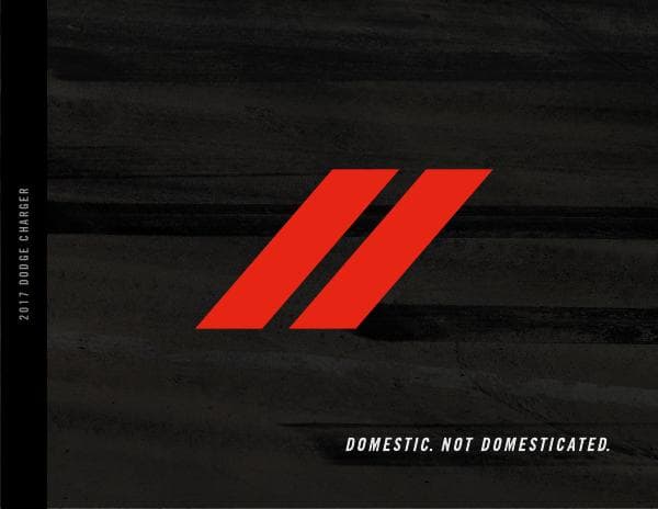 Dodge_US%20Charger_2017