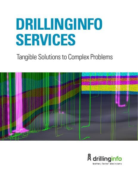 Drillinginfo-Services-Brochure