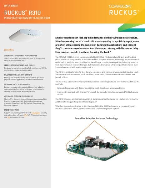 ds-ruckus-r310