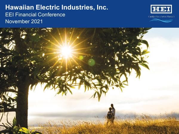 EEI-Financial-Conference-2021-vF