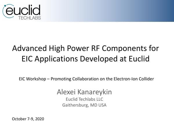 EIC_2020_Workshop_Euclid_Kanareykin