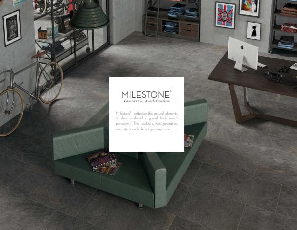 emser_milestone_brochure