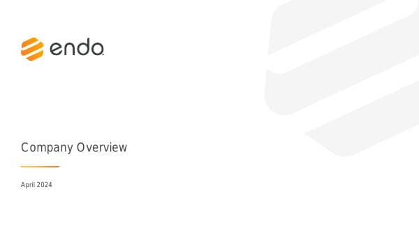 Endo-Company-Overview