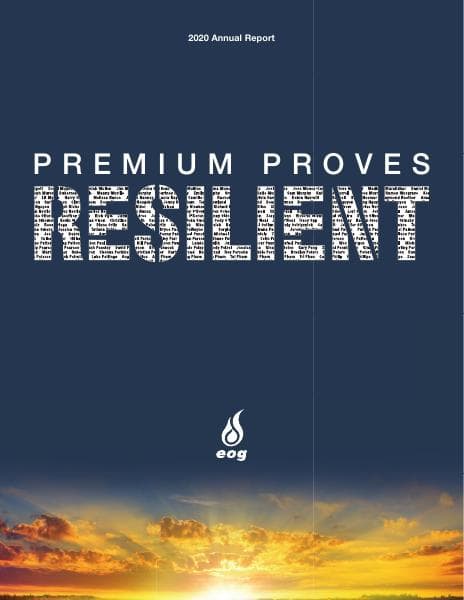EOG-2020-AR_web-ready