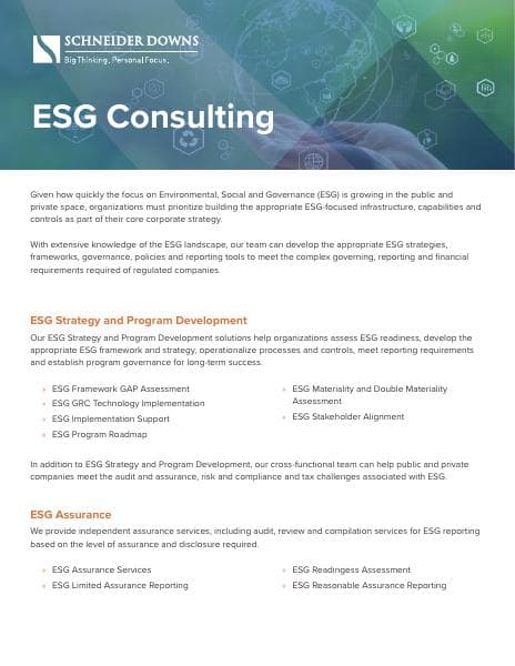 ESG%20Consulting%20Niche%20Piece