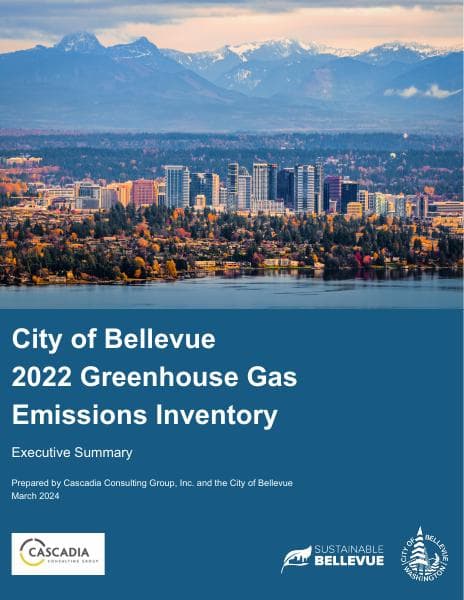 Executive_Summary_Bellevue_FINAL