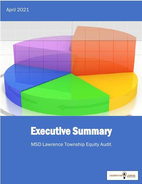 ExecutiveSummaryEquityAudit