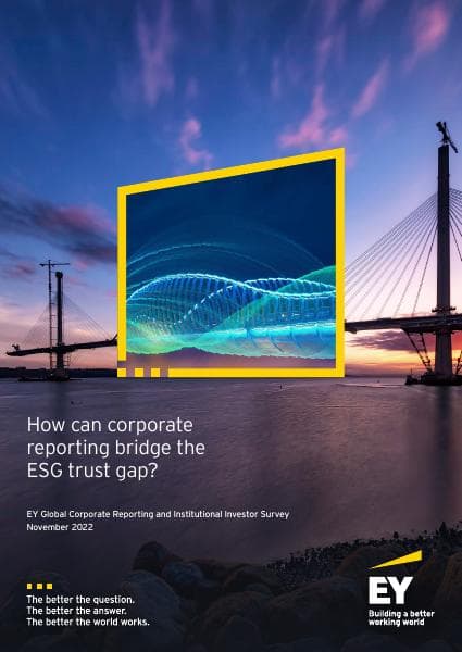 ey-global-reporting-survey-report-2022