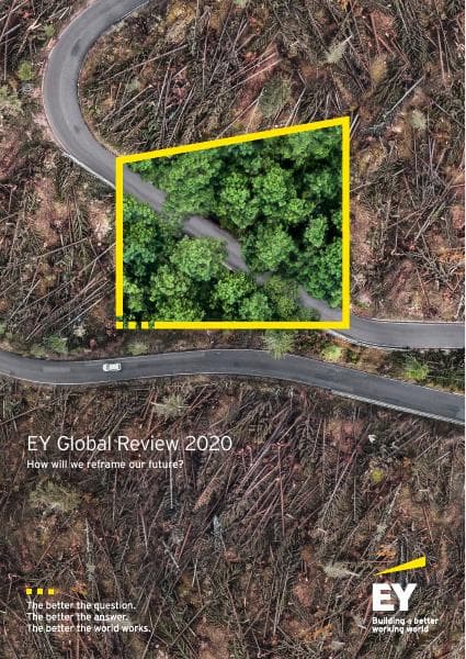 ey-global-review-2020-v3.pdf_download