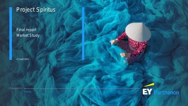 ey-market-review-report