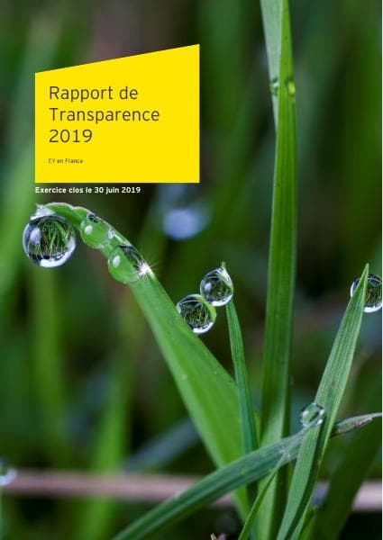 ey-rapport-de-transparence-2019