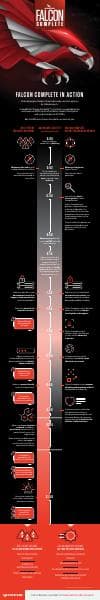 falcon-complete-infographic