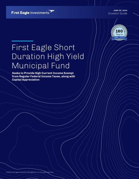 FE-SDF-Investor-Guide