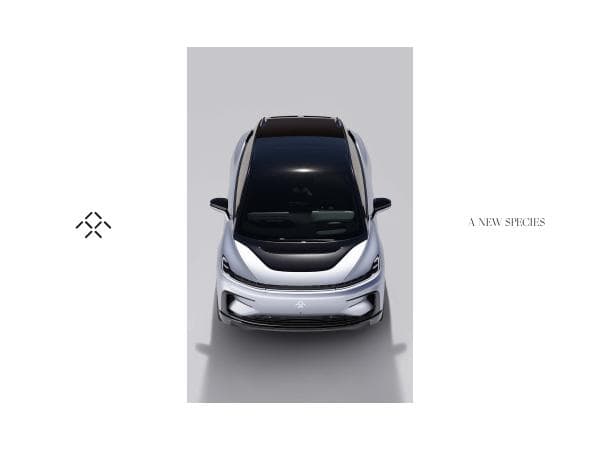 FF91_Brochure_20210521