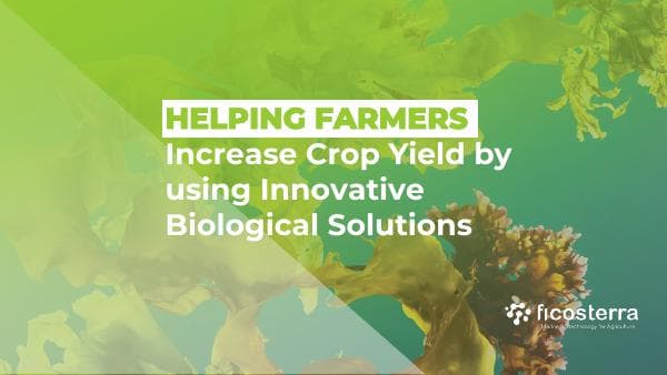 Ficosterra-Pitch-Deck