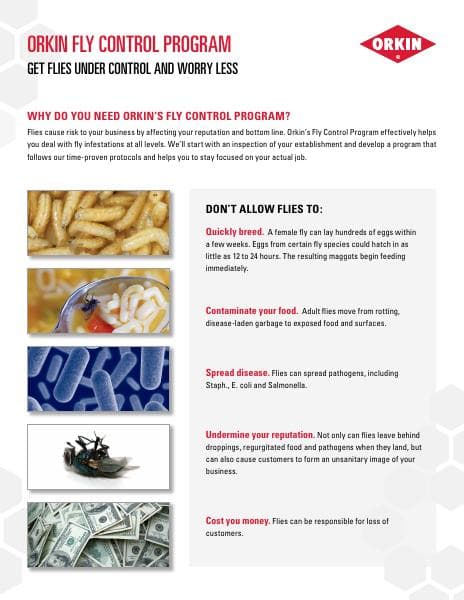 Fly-Control-Informational-Sheet-2021