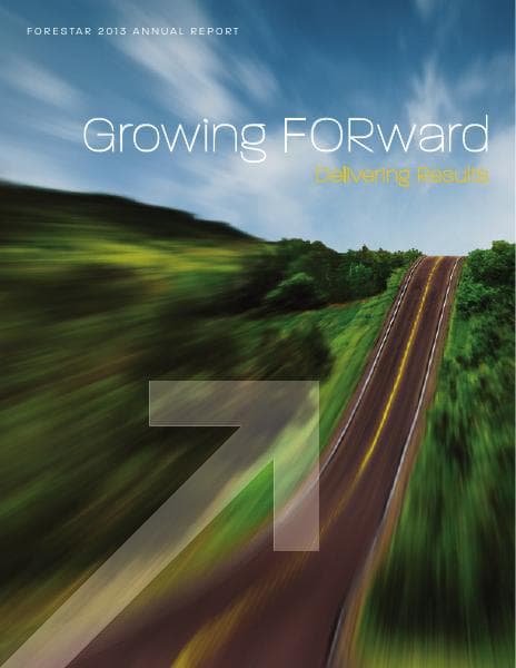 Forestar_AR2013_FINAL
