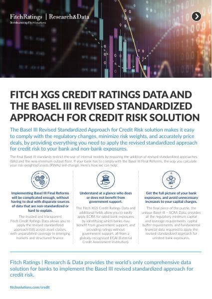 FRRD_Basel-Solution-Brochure