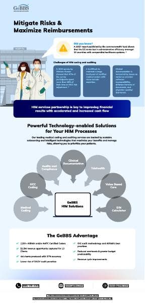 GeBBS_HIM-Solutions_Infographic
