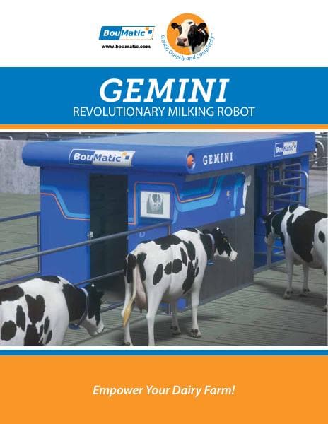 Gemini_Brochure_US