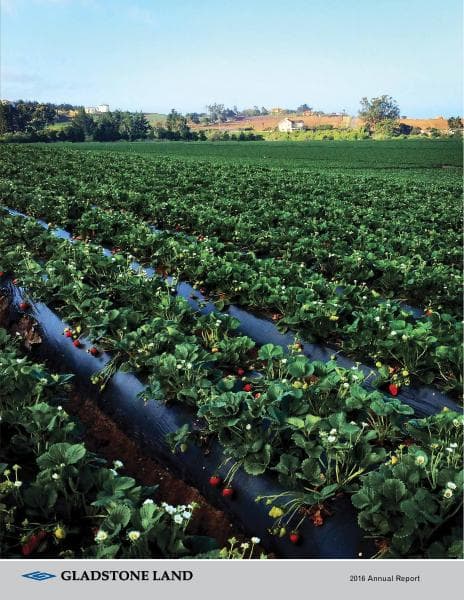 GladstoneLAND_2016AR