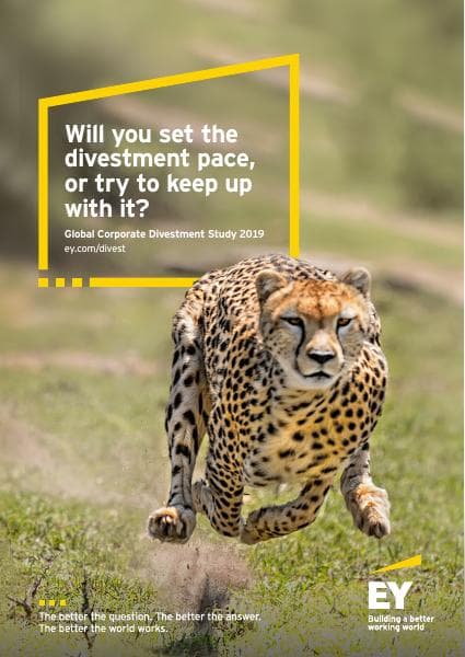 global_divestment_study_report