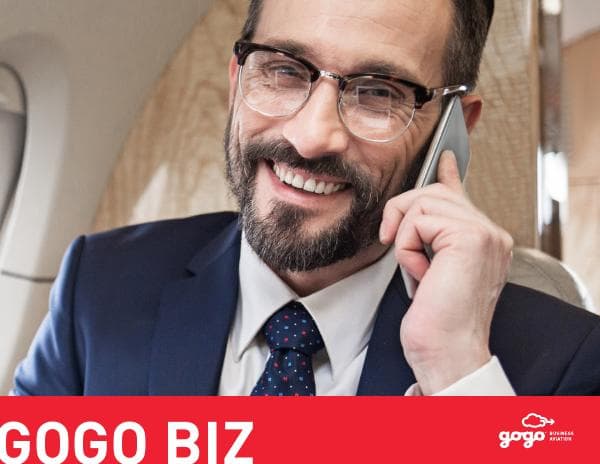 gogo-brochure-biz