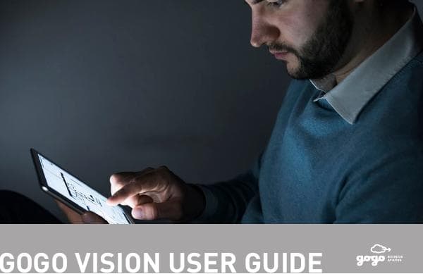 Gogo_UserGuide_GogoVision