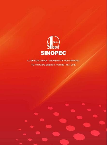 GroupAnnualReport2020en