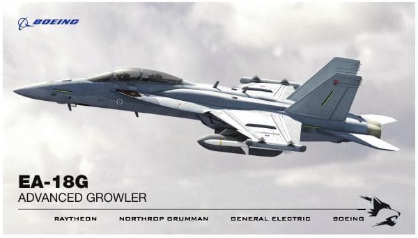 Growler-Finland-Infographic_081820_v4