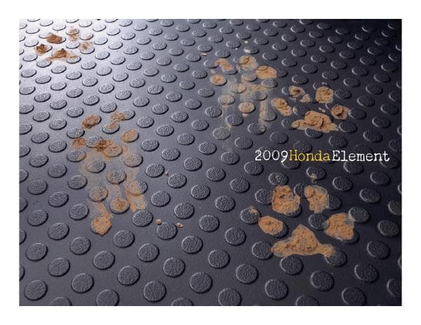 Honda_US%20Element_2009
