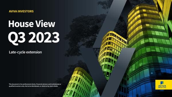 house-view-q3-2023