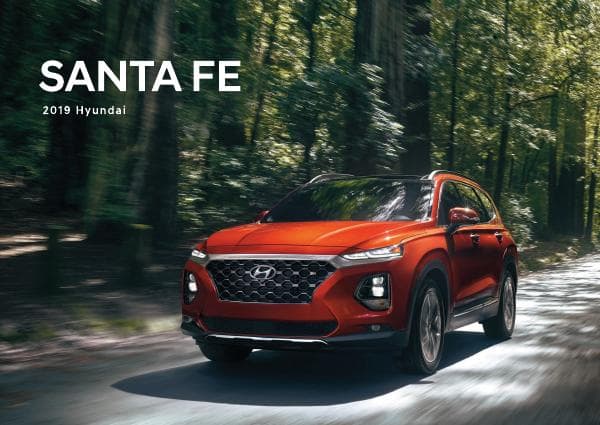 Hyundai_US%20SantaFe_2019
