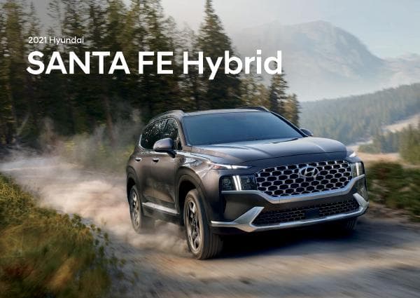 Hyundai_US%20SantaFe_2021-hybrid