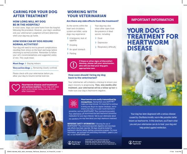 IMMITICIDE%20Pet%20Owner%20Brochure