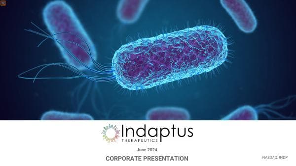 INDP-Investor-Presentation-June-2024