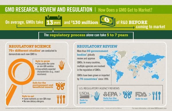 Infographic_GMO_Research_Review_Regulation_1