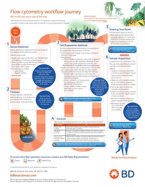 Infographic-Workflow-09012021-Digital