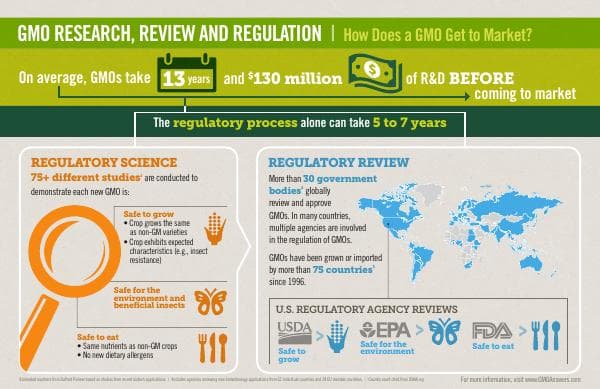 Infographic%20GMO%20Research%20Review%20Regulation-%20Feb2018_0