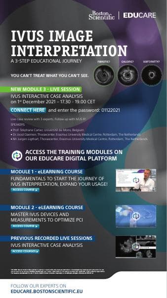 IVUS_image_interpretation_flyer