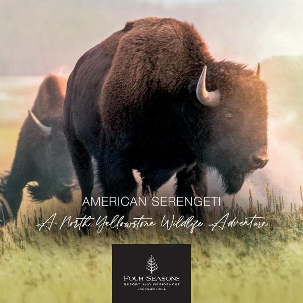 JAC-american-serengeti