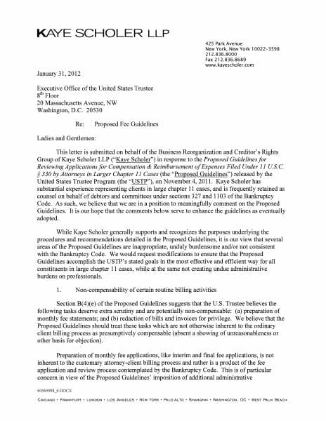 Kaye_Scholer_Comment