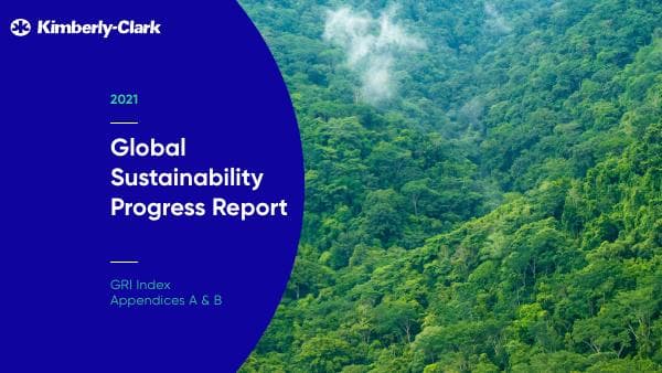 kc-2021-gri-index