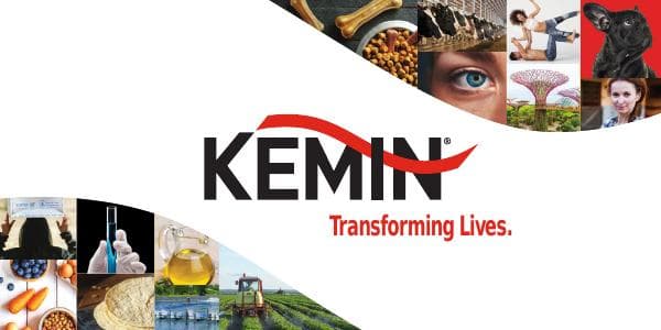 Kemin_Corporate_Brochure_EN