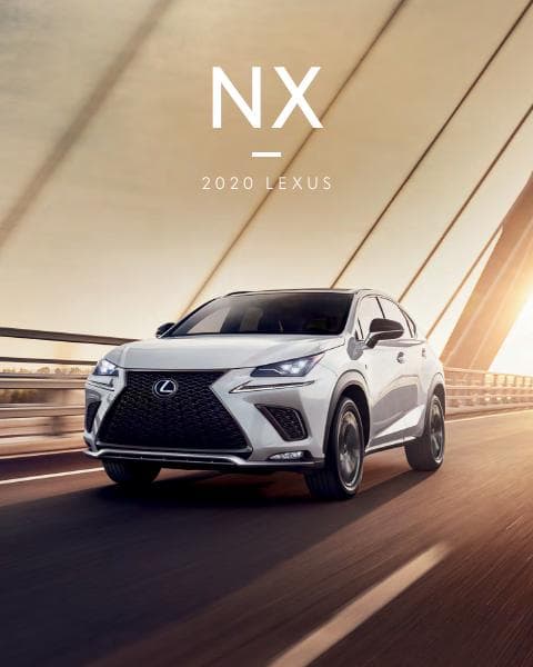 Lexus_US%20NX_2020-2