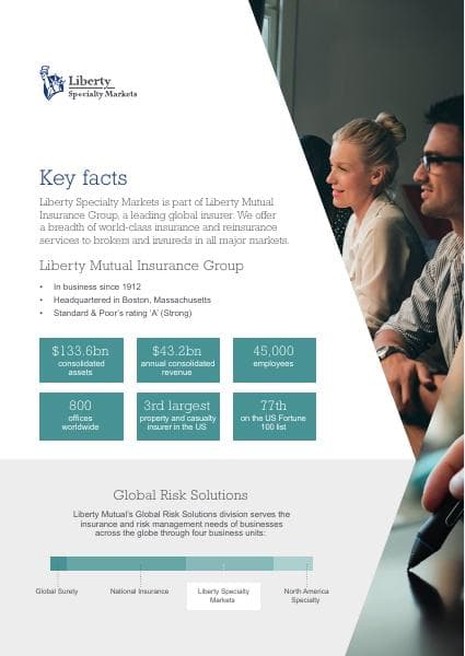 LSM+Key+Facts+Factsheet_0